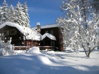 Spacious Pet-Friendly Cabin for a Vacation near Glacier National Park, Montana - Whitefish - 0