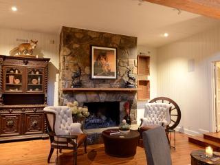 Extraordinary Vacation Rental for Large Groups at Lake Rabun, Georgia - Lakemont - 4