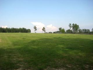 Spacious Vacation Rental with Expansive Grounds on an Old Plantation near Aiken, South Carolina - Aiken - 0