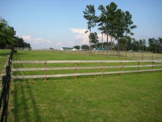 Spacious Vacation Rental with Expansive Grounds on an Old Plantation near Aiken, South Carolina - Aiken - 9