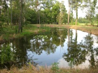 Spacious Vacation Rental with Expansive Grounds on an Old Plantation near Aiken, South Carolina - Aiken - 5