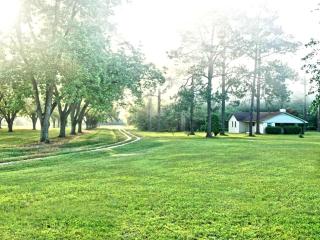Magnificent Three-Bedroom Cottage Rental near Downtown Bainbridge, Georgia - Bainbridge - 9