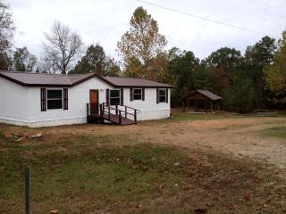 Secluded Family Cabin near Ouachita Mountains in Murfreesboro, Arkansas - Murfreesboro - 9
