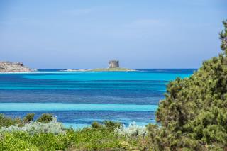 Villa Iole, con accesso privato alla spiaggia - Hosty Sardegna - Stintino - 7