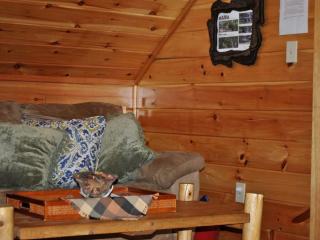 Secluded Mountain Cabin Getaway with a Hot Tub near Sevierville, Tennessee - Sevierville - 5