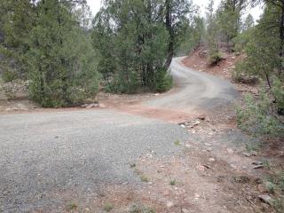 Unconventional Dome Ideal for a Glamping Experience in Glorieta, New Mexico - Glorieta - 1