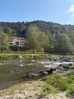 petit T2 RDC tout confort - Amélie-les-Bains-Palalda - 4