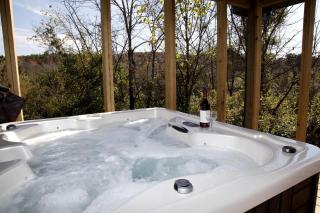 Beautiful Cabin with Hot-tub in Herod, Illinois - - 9