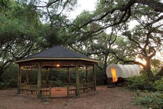 Unique Wagon Accommodation at Bed and Breakfast near Austin, Texas - Cat Spring - 3