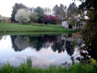 Deep Creek Lake Cabin Rental with Hot Tub near Terra Alta, West Virginia - Terra Alta - 8