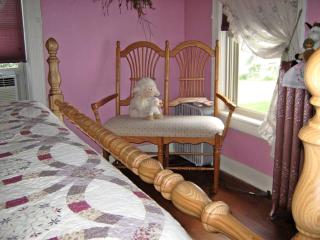 Rustic Room Rental in Lovely Bed and Breakfast near Lanesboro, Minnesota - Lanesboro - 6