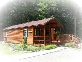 Romantic Cabin Rental with Wi-Fi near Lake Ontario in Sackets Harbor, New York - Sackets Harbor - 5