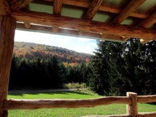 Spacious Log Cabin Rental with Hot Tub in Cranesville, West Virginia - Terra Alta - 4