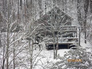 Rustic Cabin on a Woodland Farm in Tellico Plains, Tennessee - Tellico Plains - 2