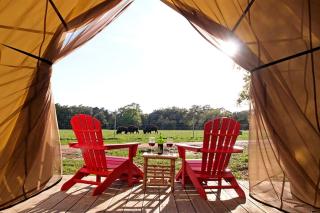 Stunning Safari Tent in Austin County, Texas - Cat Spring - 8