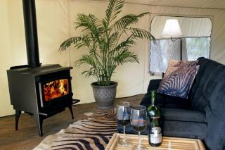 Stunning Safari Tent in Austin County, Texas - Cat Spring - 7