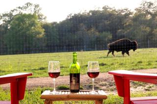 Stunning Safari Tent in Austin County, Texas - Cat Spring - 3