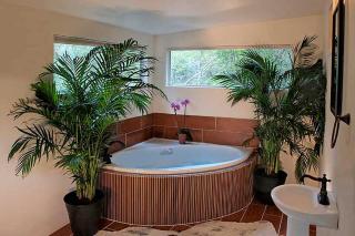 Secluded Cabin Rental with Jacuzzi for Romantic Weekend Getaway near Austin, Texas - Cat Spring - 1