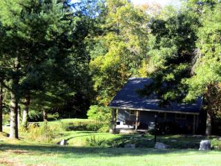 Secluded Rental Cabin with Hot Tub near Deep Creek Lake in West Virginia - Terra Alta - 9