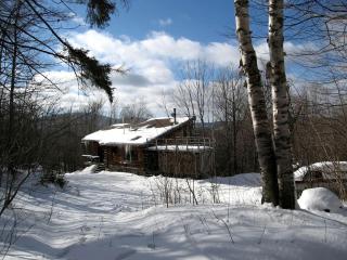 Spacious 14-Person Cabin Perfect for Families in Mount Holly, Vermont - Mount Holly - 9
