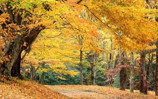 Cabin Rental with Stunning Views near Hanging Rock State Park, North Carolina - - 2