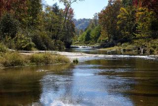 Cabin Rental with Stunning Views near Hanging Rock State Park, North Carolina - - 1