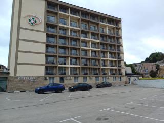 Detelina Hotel - 8