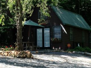 Tiny House Rental for Two on Lake Chatuge in Hiawassee, Georgia - 2