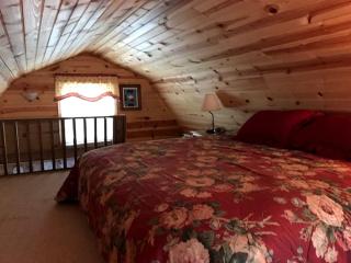 Tiny House Rental for Two on Lake Chatuge in Hiawassee, Georgia - Hiawassee - 5