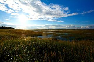 Family-Friendly Cabin Rental near Prime Fishing in Igiugig, Alaska - - 5