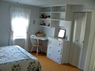 Amazing Family Cottage Rental with a Dock in the Thousand Islands of New York - Cape Vincent - 0
