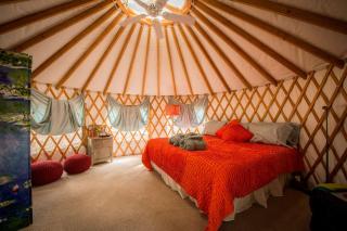 Elegant Yurt Tucked Beneath Oak Trees on Southern California Ranch - Cayucos - 0