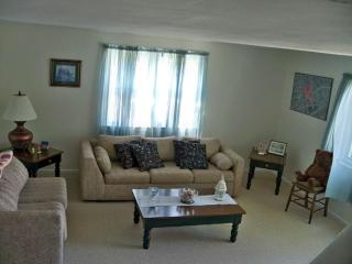 Amazing Family Cottage Rental with a Dock in the Thousand Islands of New York - Cape Vincent - 6