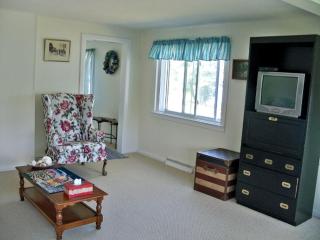 Amazing Family Cottage Rental with a Dock in the Thousand Islands of New York - Cape Vincent - 5