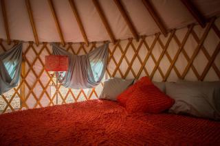 Elegant Yurt Tucked Beneath Oak Trees on Southern California Ranch - Cayucos - 4