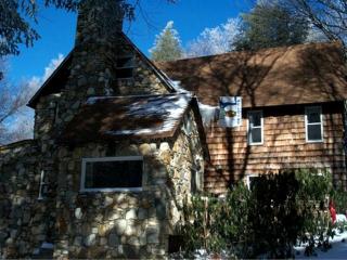 Rustic and Private Family Cabin Rental on Beech Mountain, North Carolina - Beech Mountain - 9