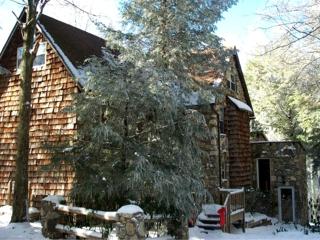 Rustic and Private Family Cabin Rental on Beech Mountain, North Carolina - Beech Mountain - 8
