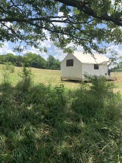 Fantastic Safari Tent Rental Ideal for Glamping in Missouri - Jane - 5