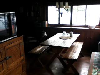 Cozy Cabin with Lovely Views of Great Sacandaga Lake in Northville, New York - Northville - 4