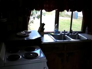 Cozy Cabin with Lovely Views of Great Sacandaga Lake in Northville, New York - Northville - 3
