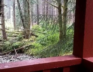 Charming A-Frame Cabin Rental on Prince of Wales Island in Hollis, Alaska - Hollis - 5