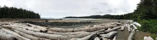 Charming A-Frame Cabin Rental on Prince of Wales Island in Hollis, Alaska - Hollis - 4