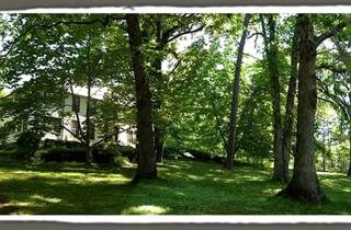 Artists' Suite Rental with Loft near Asheville, North Carolina - Black Mountain - 2