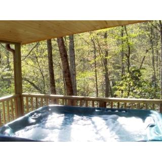 Rustic North Carolina Cabin with Hot Tub and Bearwallow Mountain Views, Perfect for a Day Trip to Blue Ridge Parkway - Hendersonville - 9