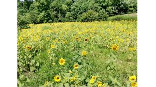 Cozy Cabin with Fireplace and Private Hot Tub on 20 Acres, near Historic Hendersonville and Lake Lure, NC - Hendersonville - 1