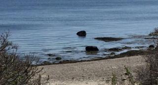 Rustic Cabin on Sturdivant Island with Views of Casco Bay in Falmouth, Maine - Falmouth - 2