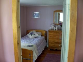 Lovely Waterfront Cottage Rental with a Dock near Clayton, New York - Cape Vincent - 0