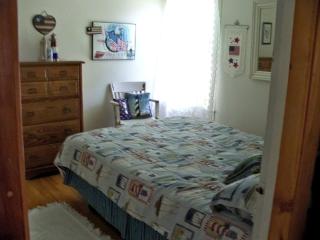Lovely Waterfront Cottage Rental with a Dock near Clayton, New York - Cape Vincent - 8