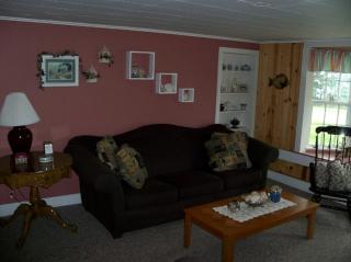 Lovely Waterfront Cottage Rental with a Dock near Clayton, New York - Cape Vincent - 4