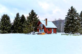 Rustic Cabin Rental with a Hot Tub near Windham, New York - Windham - 0